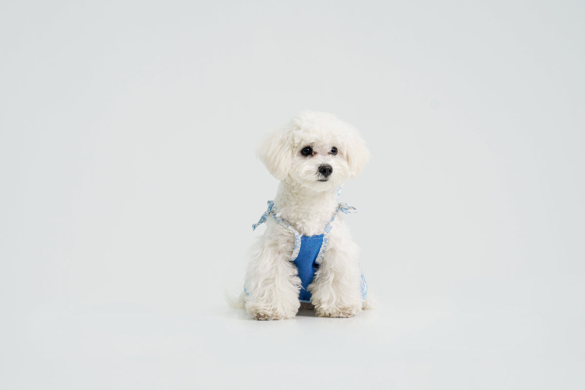 Pasture Blues dog dress – product photo 11, kawaii pet apparel by kuwoof