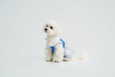 Pasture Blues dog dress – product photo 12, kawaii pet apparel by kuwoof