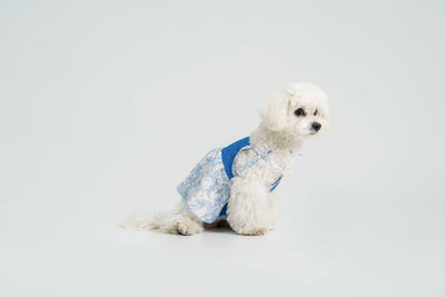 Pasture Blues dog dress – product photo 13, kawaii pet apparel by kuwoof