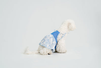 Pasture Blues dog dress – product photo 14, kawaii pet apparel by kuwoof