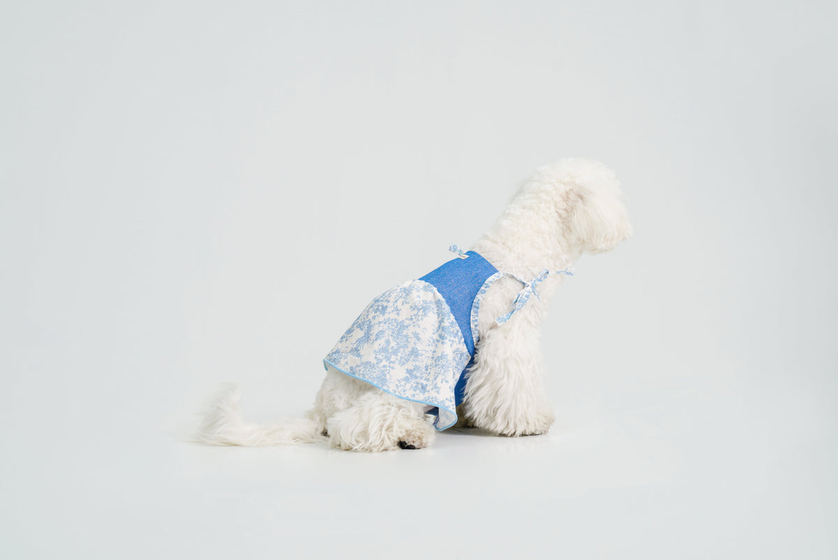 Pasture Blues dog dress – product photo 14, kawaii pet apparel by kuwoof