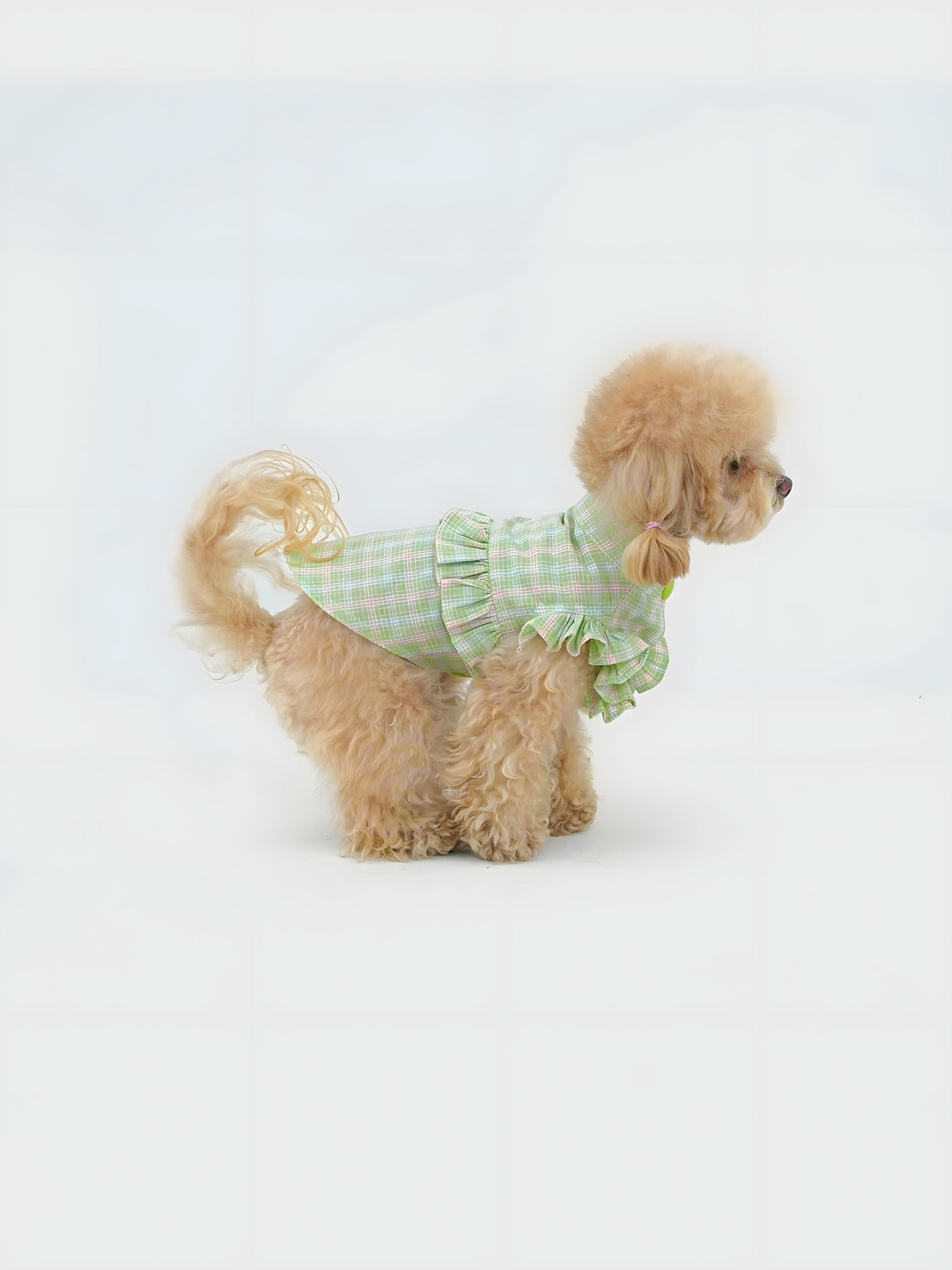 Puffs dog dress – product photo 13, kawaii pet apparel by kuwoof