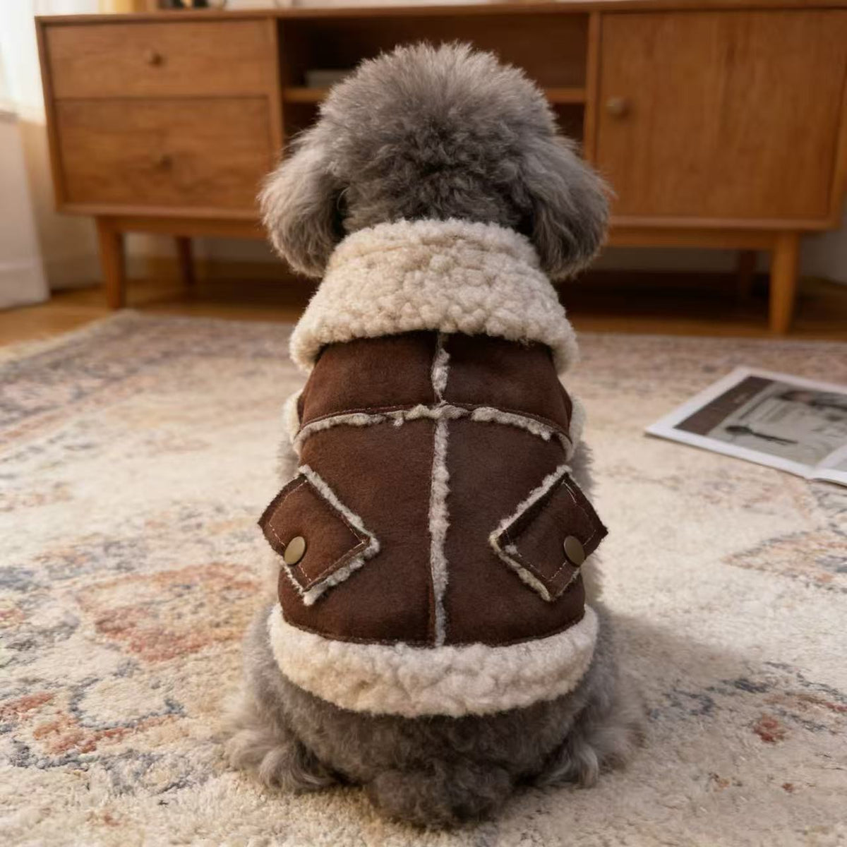 Retro Lapel dog coat – front view, kawaii pet apparel by kuwoof