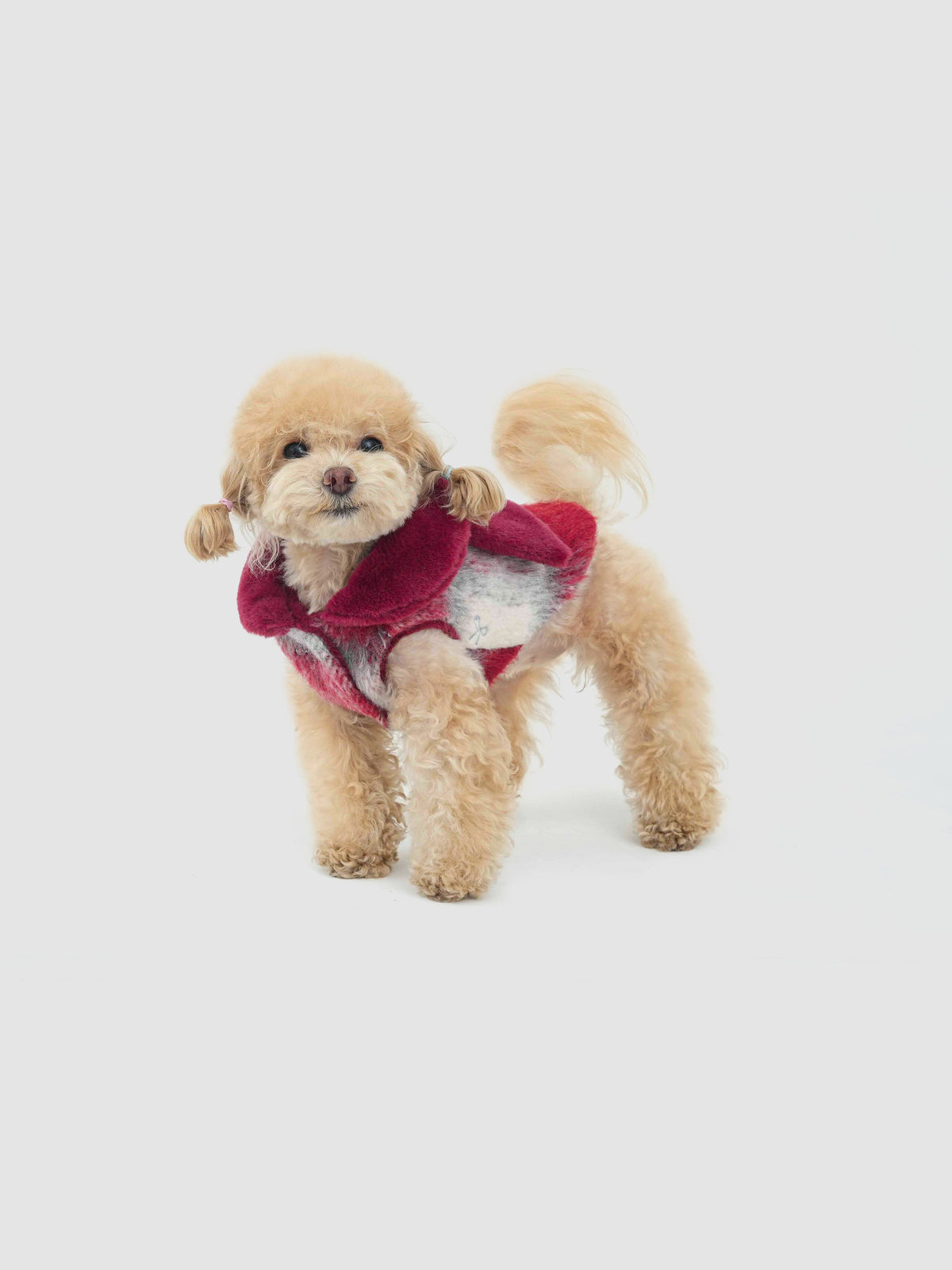 Scarlet Bow dog coat – product photo 3, kawaii pet apparel by kuwoof