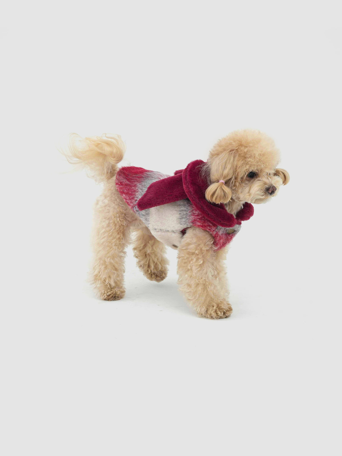 Scarlet Bow dog coat – product photo 4, kawaii pet apparel by kuwoof