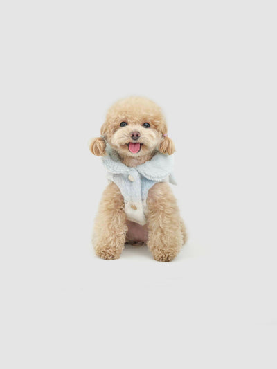 Scarlet Bow dog coat – product photo 10, kawaii pet apparel by kuwoof