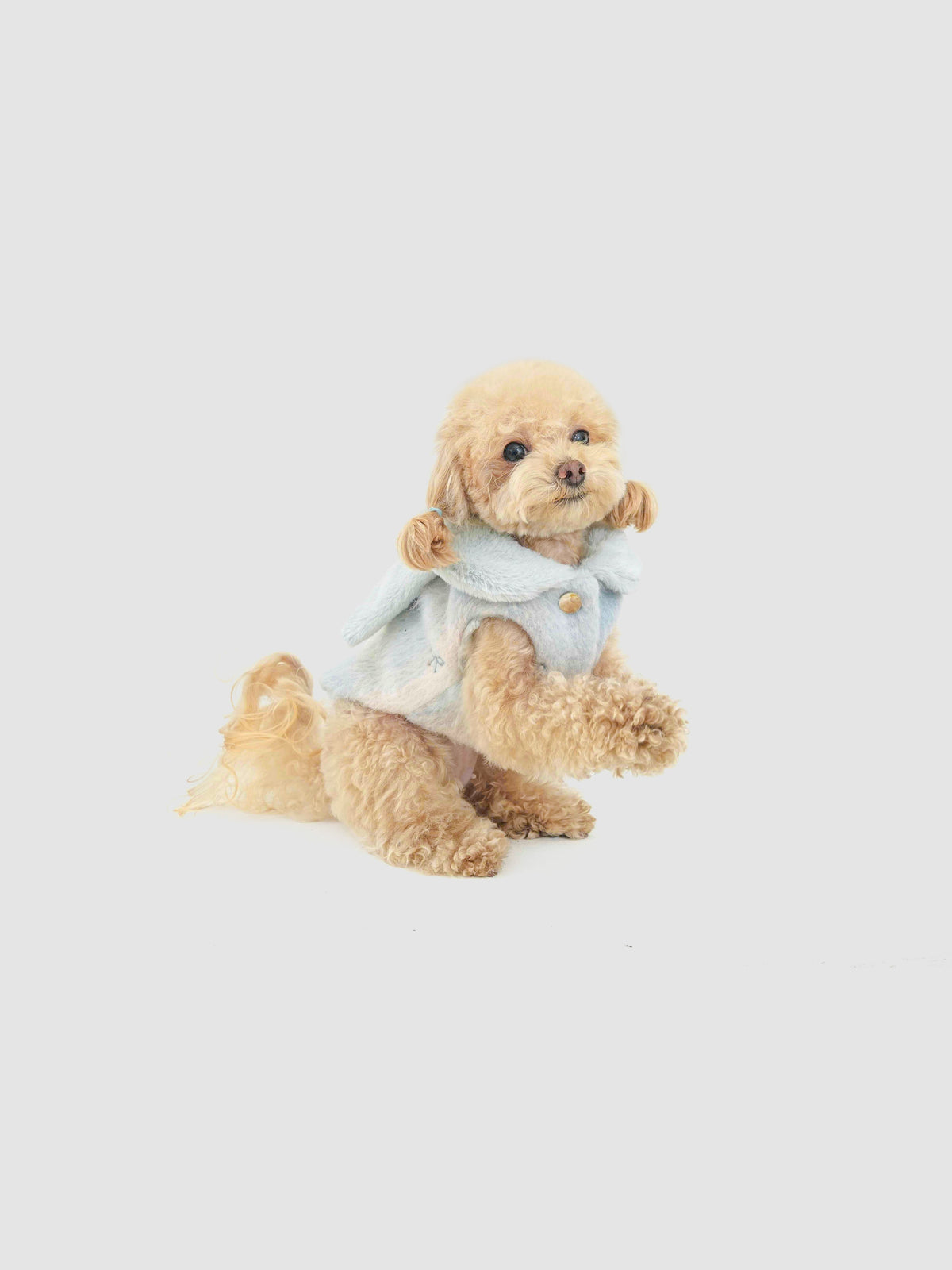 Scarlet Bow dog coat – product photo 12, kawaii pet apparel by kuwoof