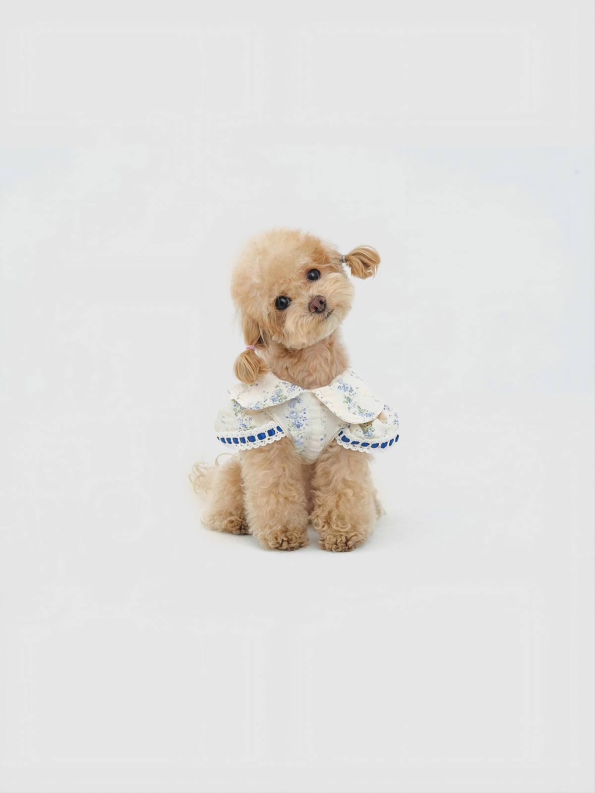 Serene Garden dog dress – front view, kawaii pet apparel by kuwoof