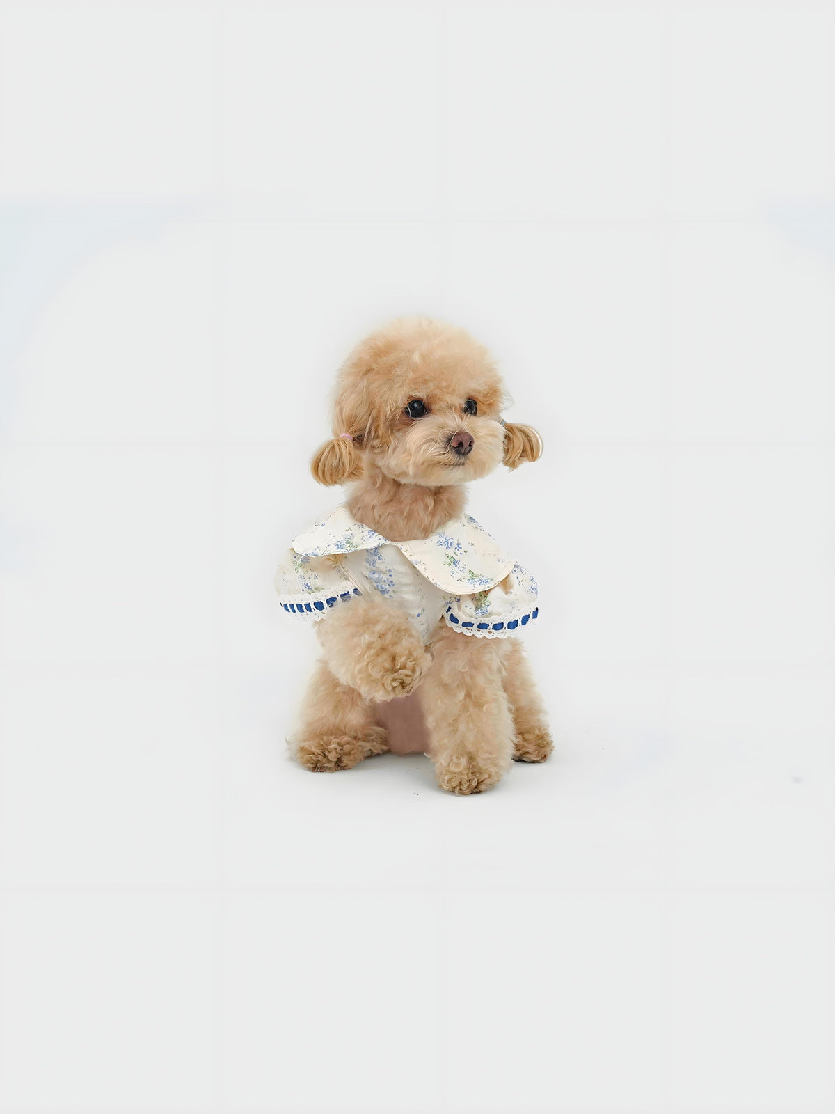 Serene Garden dog dress – product photo 3, kawaii pet apparel by kuwoof