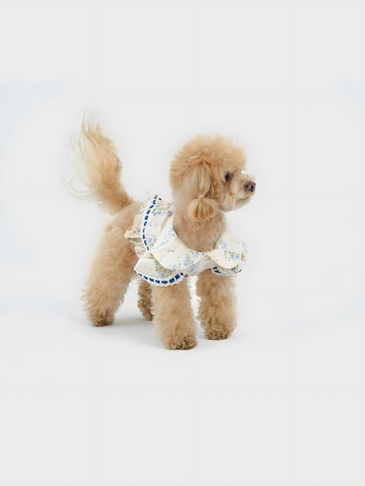 Serene Garden dog dress – product photo 4, kawaii pet apparel by kuwoof