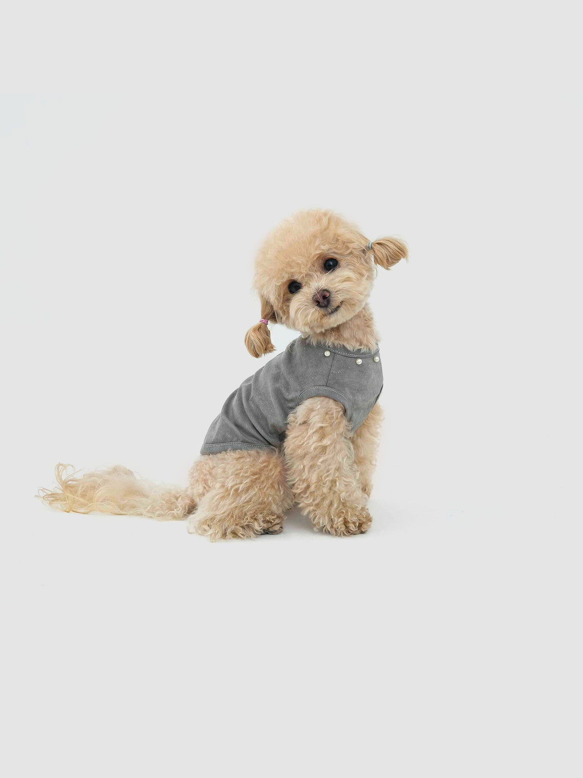 Silver-Gray Minor dog vest – front view, kawaii pet apparel by kuwoof
