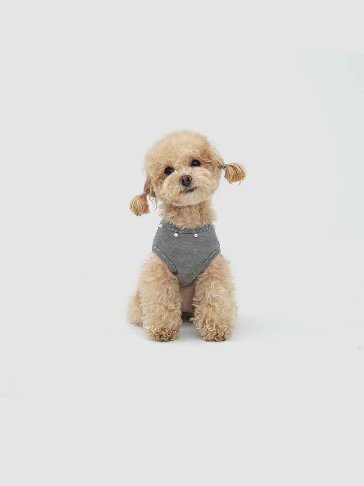 Silver-Gray Minor dog vest – product photo 3, kawaii pet apparel by kuwoof