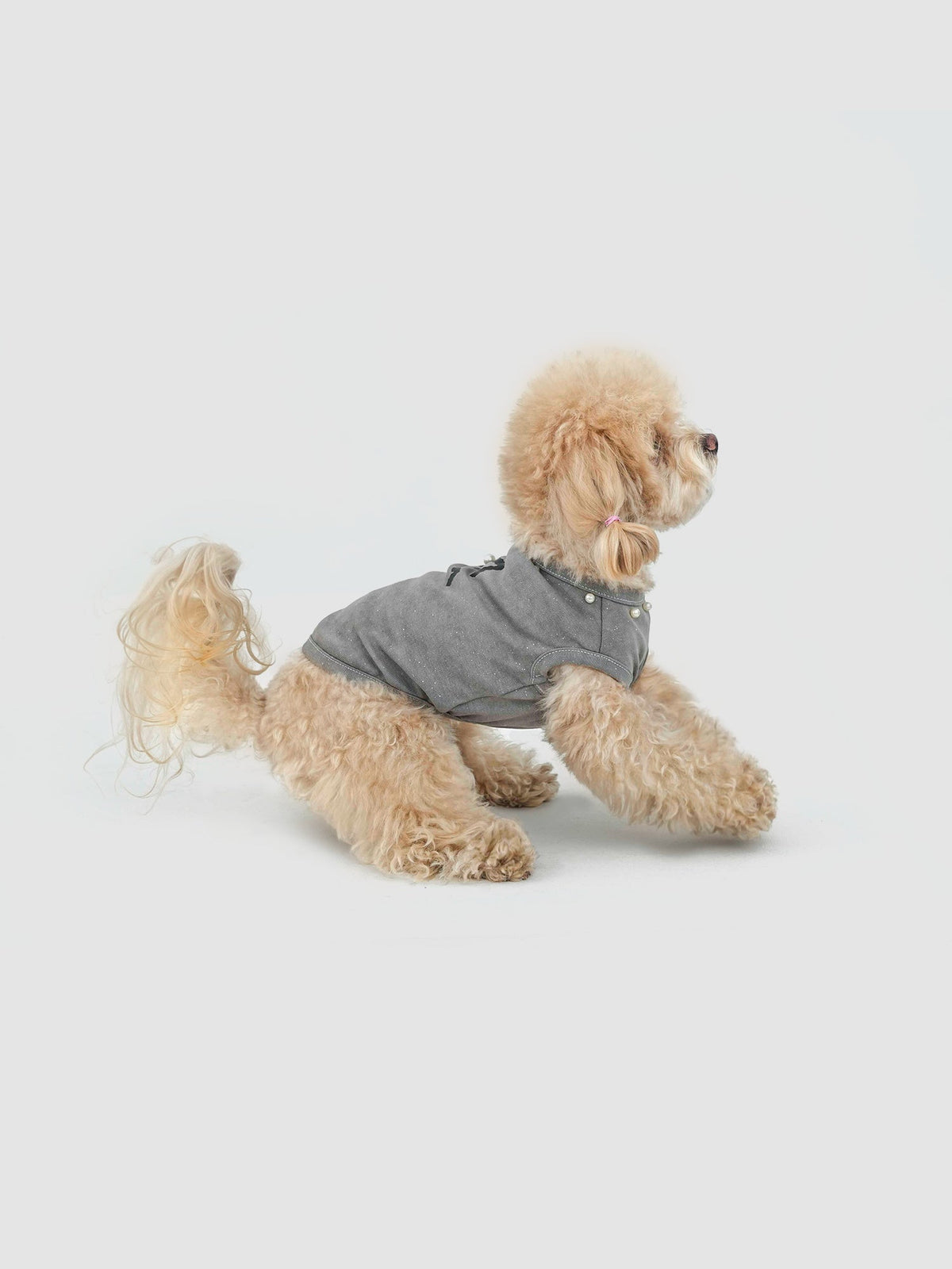 Silver-Gray Minor dog vest – product photo 4, kawaii pet apparel by kuwoof