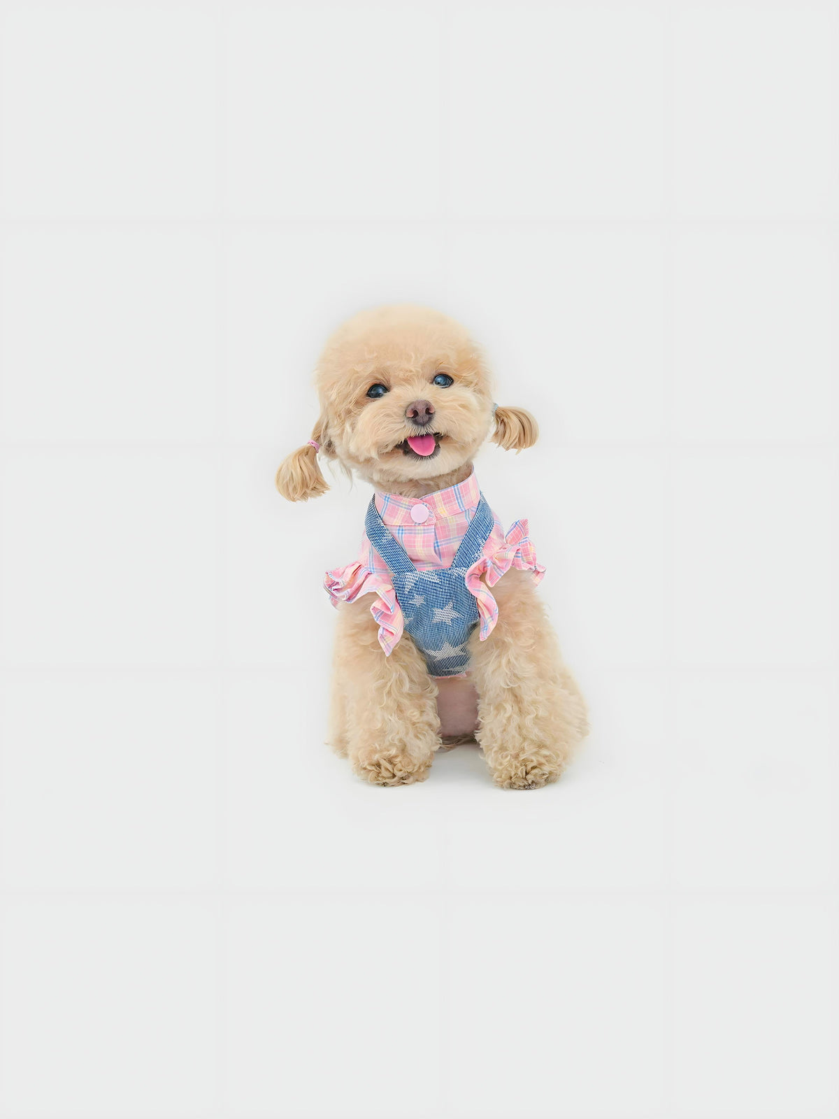 Starlit Cowboy dog shorts set – front view, kawaii pet apparel by kuwoof