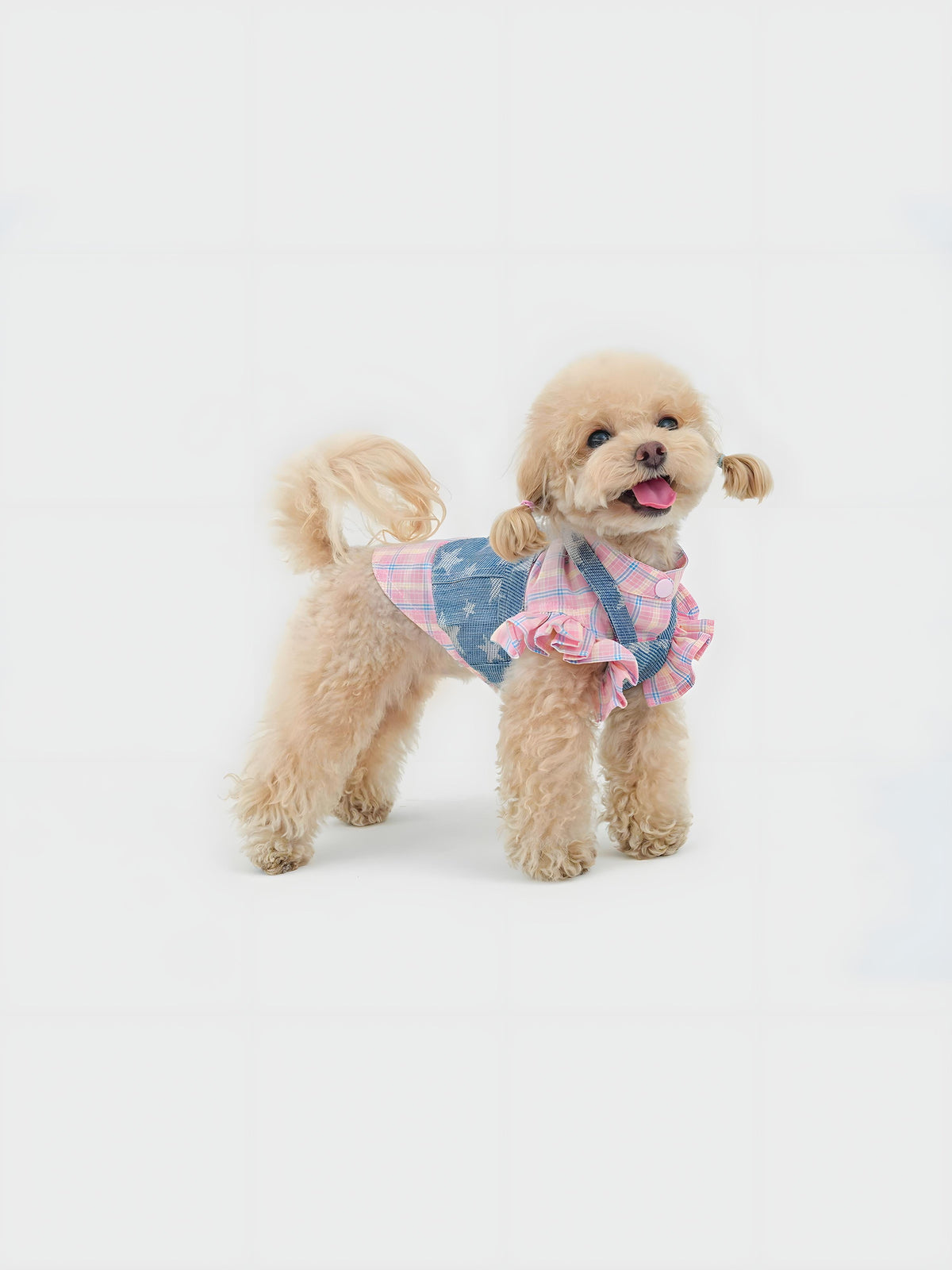 Starlit Cowboy dog shorts set – product photo 3, kawaii pet apparel by kuwoof